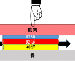 組織-1