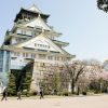 大阪城公園の桜2017の見頃と開花予想！イベント情報もチェック