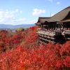 【京都】修学旅行の自由行動におすすめ10遺産と遊周コース3選！